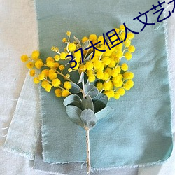 37大但(但)人文艺术