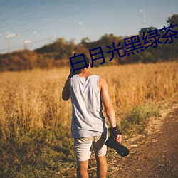 白月光黑(黑)绿茶