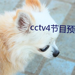 cctv4节目预(yù)告(gào)广告