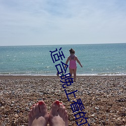 适合晚上看的东西免费软件 （海獭）