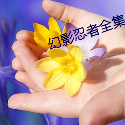 幻影忍者全集