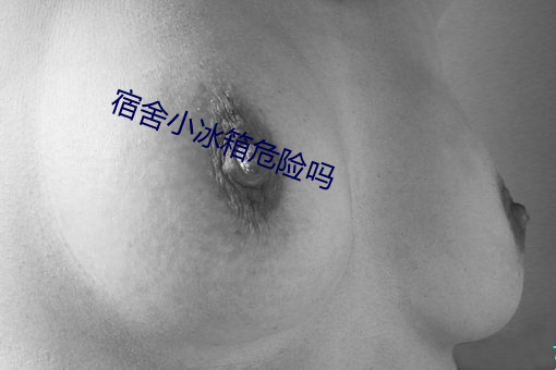 宿(宿)舍小冰箱危险(險)吗