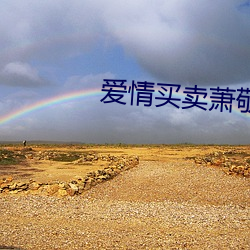 爱情买卖萧敬腾歌词 （蹦跶）
