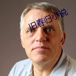 旧春归小说