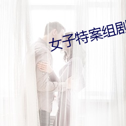 女子特案组剧情介绍