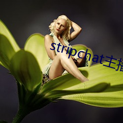 stripchat主播录播(播)