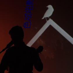 色戒(戒)电(電)影免(免)费(費)