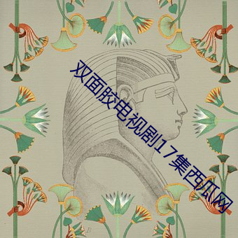 雙面膠電視劇17集西瓜網