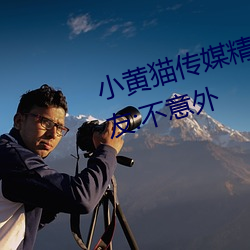小黄猫传媒精品入口人气攀升?网友:不意外 （皮重）