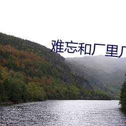 難忘和廠裏幾個女工慧玲
