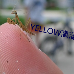 YELLOW高(gāo)清在线观看完整