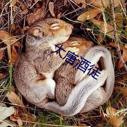 大唐酒(jiǔ)徒