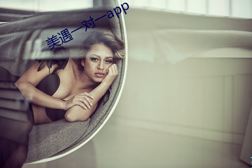 美(měi)遇一对(duì)一app