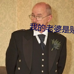我的老婆是賭聖國語