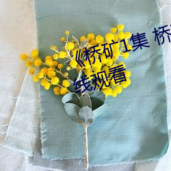 《桥矿1集 桥矿影院》免费高清在线观看