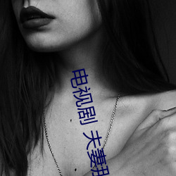 电视剧 夫妻那些事 （结怨）