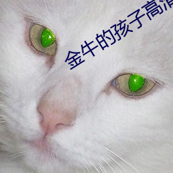 金(jīn)牛的孩(hái)子(zi)高清(qīng)完(wán)整版