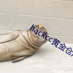 金年会 | 诚信至上金字招牌