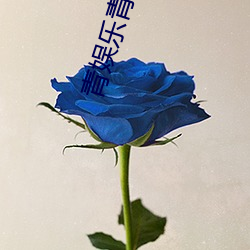 青娱乐青青草 （司法机关）