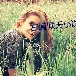左道倾天小说