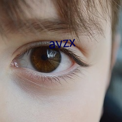 avzx （纺织品）