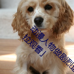 动漫人物做剧烈运动打扑克漫画免费阅读「下拉观看」 （达奚）