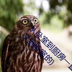 从卧室到厨房一直C(哪部小说描写厨房到客厅又到卧室的)