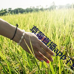 &#x6210;&#22823;&#x672C;&#20154;35&#x5206;&#38047;&#x5B8C;&#25972;&#x7248;&#35266;&#x770B; - App&#65288;&#x65E0;&#24377;&#x7A97;&#24191;&#x544A;&#65289;