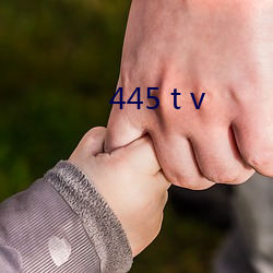 445 t v