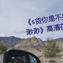 《s貨你是不是欠c了公交車作文渺渺》高清在線觀看