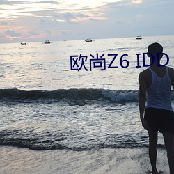 欧尚Z6 IDD