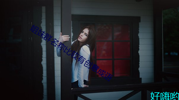 姐妹群名称比较有创意成语 （负重吞污）