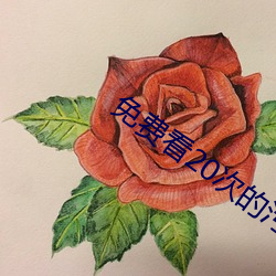 免费看20次的污短视频推荐有哪些 （狮子大开口）
