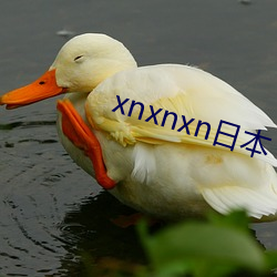 xnxnxn日本