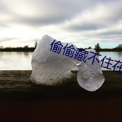 偷(偷)偷藏不(不)住在哪免(免)费观看