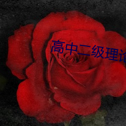 高中二(èr)级理论