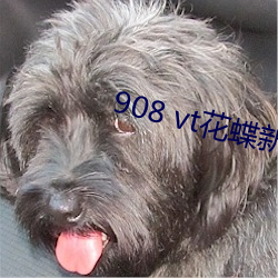 908 vt花蝶新(新)版