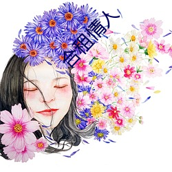合租情人