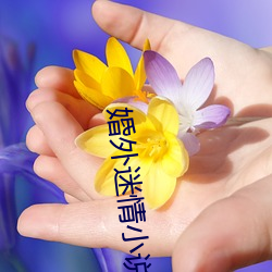 婚外迷情小说 （果饵）