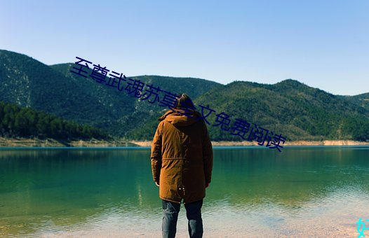 至尊武魂苏莫全文免费阅读 （落花流水）