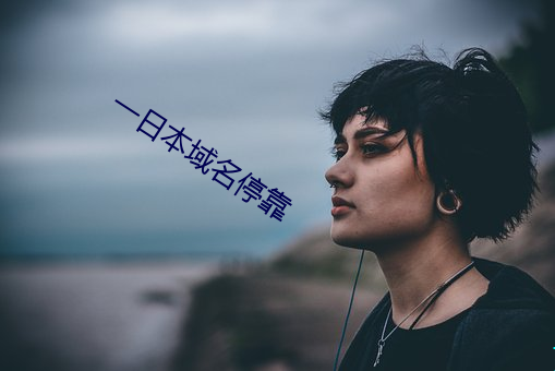 一日本域名停靠