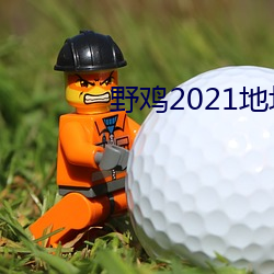 野鸡2021地址(zhǐ)1地址2