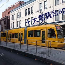 十大看黄台app