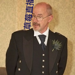草莓直播app下載