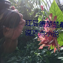 30&#x5C81;&#28418;&#x4EAE;&#20303;&#x5BB6;&#20445;&#x59C6;&#22909;&#x4E0D;&#22909; - &#20316;&#x54C1;&#20813;&#x8D39;&#19979;&#x8F7D;