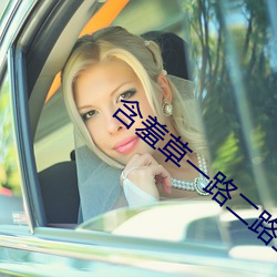 含羞草一路二路三路