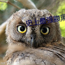 史上最強腹黑夫妻