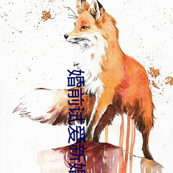 婚前试爱新婚夜