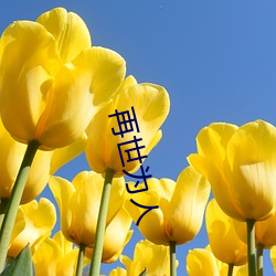 再世为人