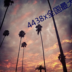 4438x全国最大